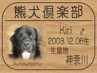 �I�[�i�[�́A���݂ف�����ł���